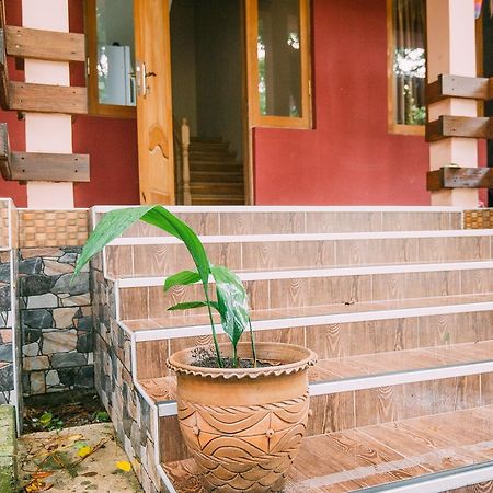 Hotel Forest Fairy Shekhvetili Zewnętrze zdjęcie
