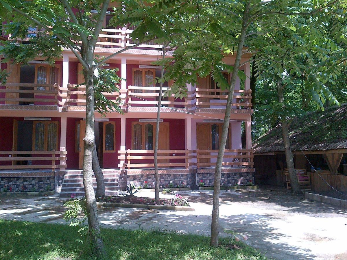 Hotel Forest Fairy Shekhvetili Zewnętrze zdjęcie