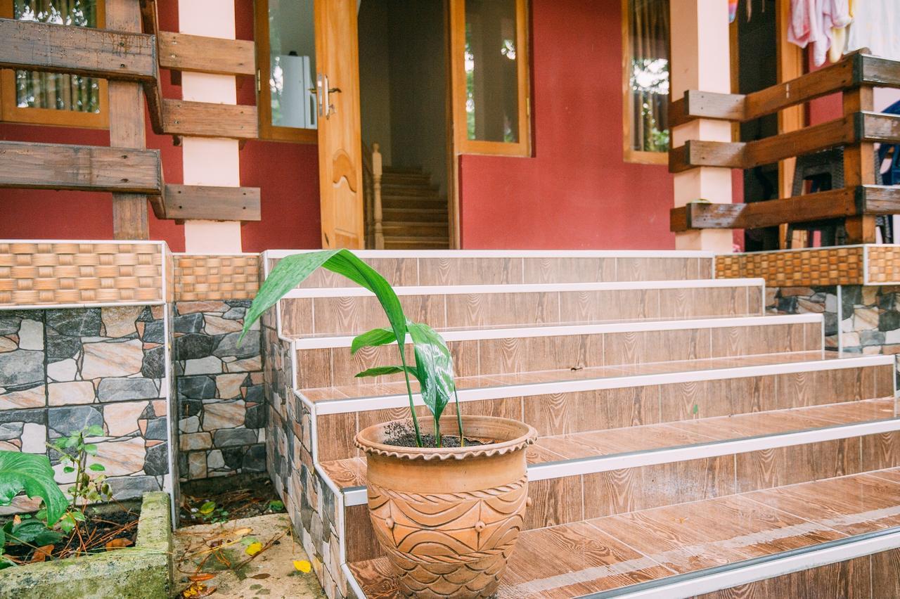 Hotel Forest Fairy Shekhvetili Zewnętrze zdjęcie